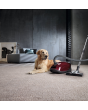 Miele C3CAT_DOG C3CAT&DOG Bagged Vacuum Cleaner-Tayberry Red