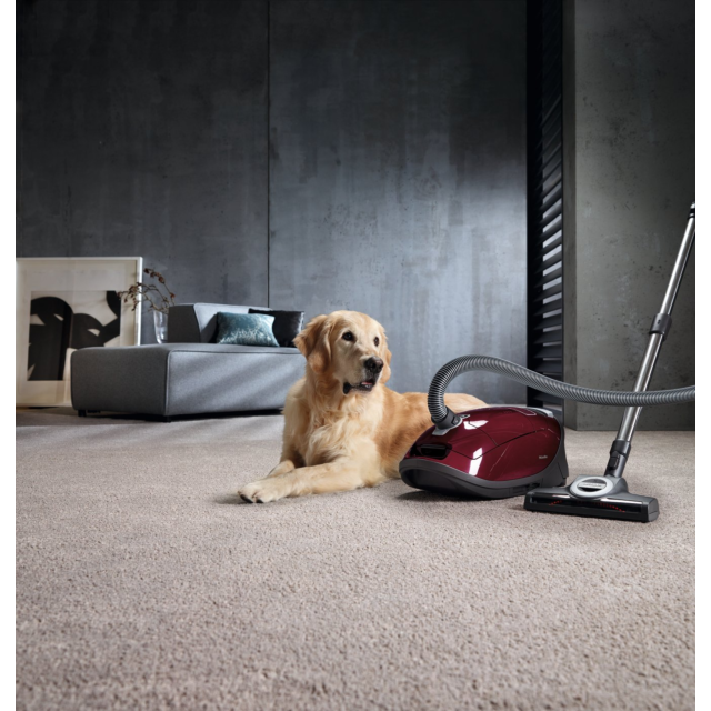 Miele C3CAT_DOG C3CAT&DOG Bagged Vacuum Cleaner-Tayberry Red
